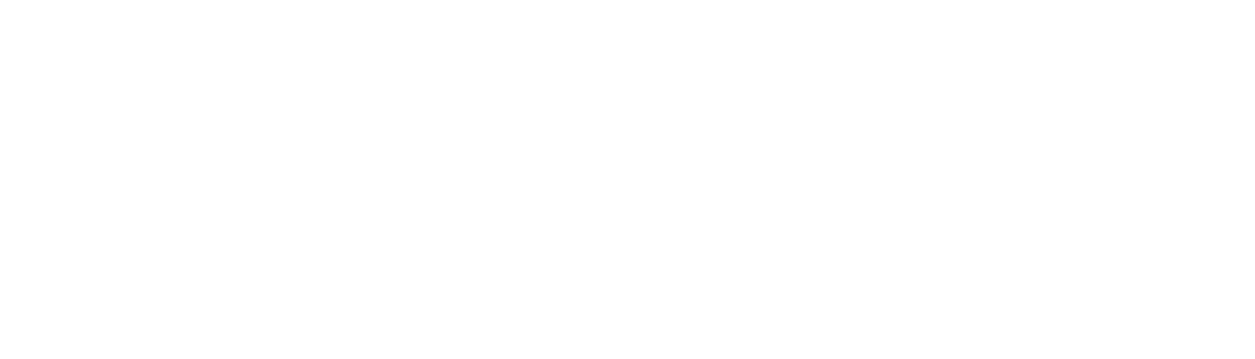 Zyra Consulting